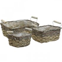 Plant basket with handles, square basket bowl, natural planter for planting shabby chic washed white L30/25.5/21 cm H12/11/10 cm set of 3