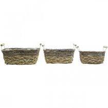 Product Plant basket with handles, square basket bowl, natural planter for planting shabby chic washed white L30/25.5/21 cm H12/11/10 cm set of 3