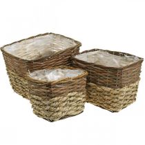 Plant basket, natural container for planting, square flower bowl natural L29.5/26/23cm H21/19/16cm set of 3