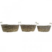 Product Natural basket for planting, basket with handles, planter shabby chic white washed L31/27.5/24cm H12/11.5/10cm set of 3