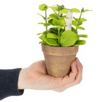 Product Artificial herb pot with decorative herbs for kitchen, garden, balcony or terrace, 15m³, 3 pieces