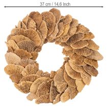 Product Tree fungus wreath, natural color, for door or wall decoration, 37cm