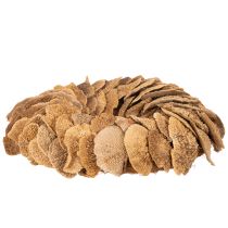 Product Tree fungus wreath, natural color, for door or wall decoration, 37cm