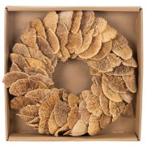 Product Tree fungus wreath, natural color, for door or wall decoration, 37cm