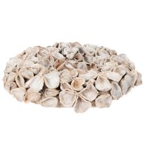Product Wreath with Lotus Blossom, Natural Decoration, Dried Flowers, 35cm
