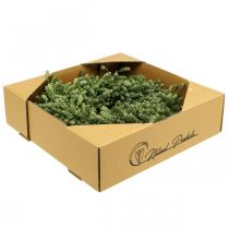 Product Christmas wreath decoration green dried flower wreath door wreath flax herb festive Ø34cm