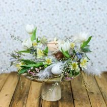 Cake plate, cake tray, natural wood washed white, shabby chic Ø29.5cm H15.5cm