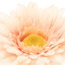 Product Artificial Gerbera Flowers Apricot 47cm 6pcs