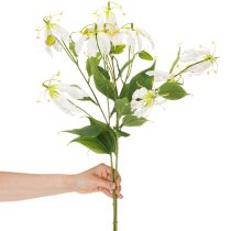 Product Artificial Gloriosa flower, white and yellow, elegant flowering branch for decoration, 80cm, 3 pieces