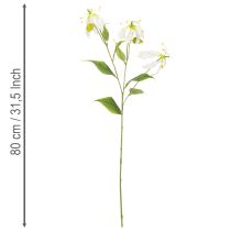 Product Artificial Gloriosa flower, white and yellow, elegant flowering branch for decoration, 80cm, 3 pieces