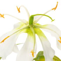 Product Artificial Gloriosa flower, white and yellow, elegant flowering branch for decoration, 80cm, 3 pieces