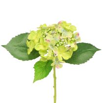 Product Artificial Hydrangeas Green Flowers Leaves L43cm 2pcs