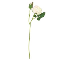 Product Artificial Roses Artificial Flowers Bunch Cream 36cm 12pcs