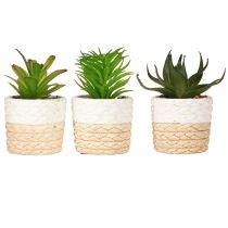 Product Artificial Succulents in Ceramic Pot 12.5cm 3pcs