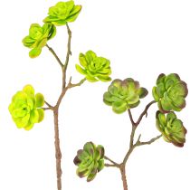 Product Artificial succulents with stem green purple assorted 32cm 2pcs