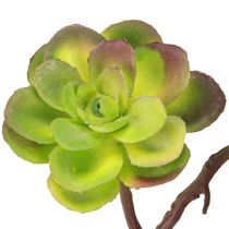 Product Artificial succulents with stem green purple assorted 32cm 2pcs