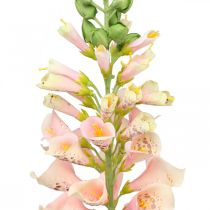 Product Artificial foxglove salmon artificial flower stem flower H90cm