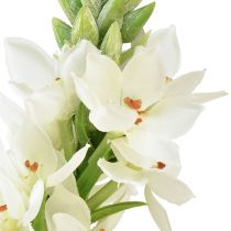 Product Artificial Flower Star of Bethlehem White 50cm