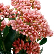 Product Artificial Fat Hen Sedum Stonecrop flowering pink 47cm 3pcs