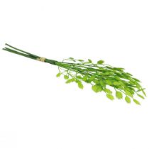 Product Artificial Grasses Decoration Quaking Grass Green 47cm Bunch of 3pcs