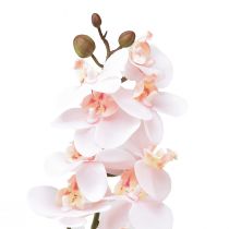 Product Artificial Orchid Pink Phalaenopsis Real Touch 58cm