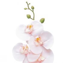Product Artificial Orchid Pink Phalaenopsis Real Touch 83cm
