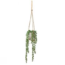 Product Artificial succulents hanging snake stonecrop in ceramic pot 40cm