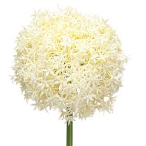 Product Artificial Allium Cream White Ornamental Onion Ø18cm L90cm