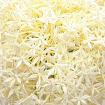 Product Artificial Allium Cream White Ornamental Onion Ø18cm L90cm