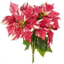 Product Artificial poinsettia in red cream L35cm 6pcs 2 bunch