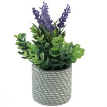 Product Artificial Lavender in Pot Ceramic Violet Green H22cm