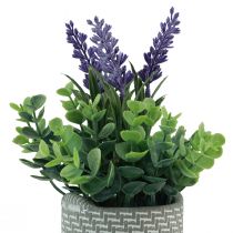 Product Artificial lavender in pot ceramic purple green H22cm