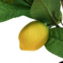 Artificial lemon tree in a pot Lemon tree H65cm