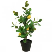 Product Artificial lemon tree in a pot, 65cm, decorative plant, artificial plant