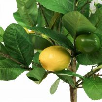 Product Artificial lemon tree in a pot, Mediterranean flair, easy-care artificial plant, decorative citrus tree, 57cm high