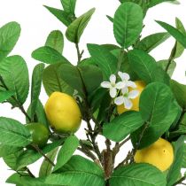 Product Artificial lemon tree, 58cm pot, decorative tree, Mediterranean style