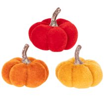 Product Decorative pumpkin set made of velvet in three colors, mini pumpkins 5cm, 12 pieces