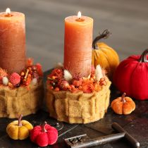 Product Decorative pumpkin set made of velvet in three colors, mini pumpkins 5cm, 12 pieces