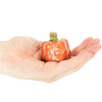 Product Pumpkin Set: Small decorative pumpkins for autumn decoration, 5cm, 3 pieces
