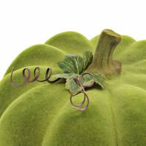 Product Decorative pumpkin flocked moss green 32cm