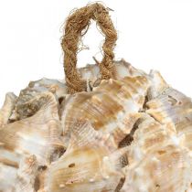 Product Decorative ball snail shells shells decoration hanging natural Ø12cm