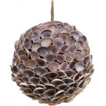 Product Decorative ball shells shell decoration for hanging maritime decoration Ø18cm