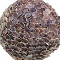 Deco ball shells shell ball large Maritime decoration Ø25cm
