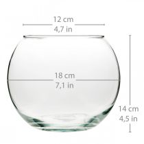 Ball vase glass vase clear round table vase flower vase Ø18cm H14cm