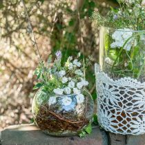 Product Ball vase glass flower vase round glass decoration H11cm Ø15cm