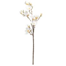 Product Artificial Flower Magnolia Branch Blossoms Ø2–10cm Cream L105cm
