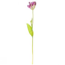 Product Artificial flower parrot tulip artificial decorative tulip purple 63cm