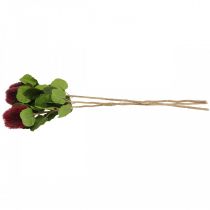 Product Artificial flowers, Banksia, Proteaceae wine red L58cm H6cm 3pcs