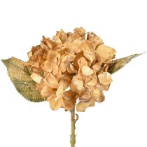 Product Artificial hydrangea dried up Drylook autumn decoration L33cm