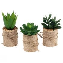 Artificial plants decorative succulents artificial 9.5-12.5cm 3pcs